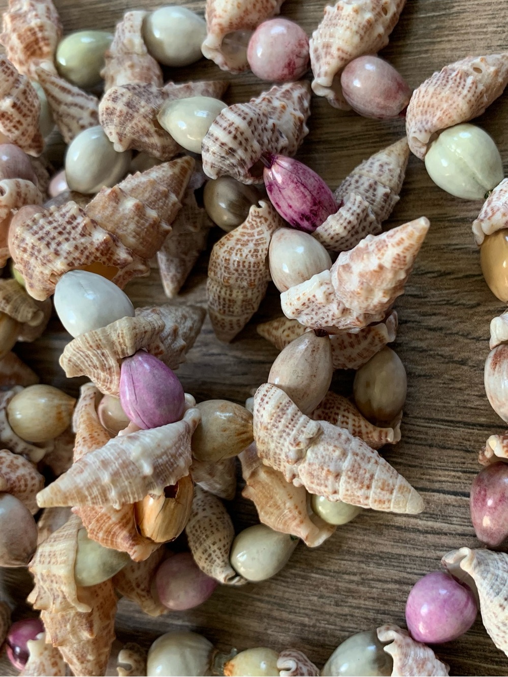 Vintage Hawaiian Shell Necklace - Picture 4 of 10